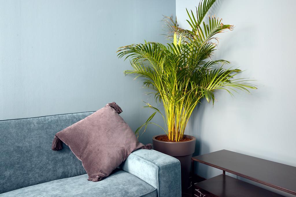 Apartment Uniqueappart T4- Hypercentre -climatise-3 Chambres
